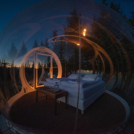 Buubble Hotel - Hrosshagi 塞尔福斯 外观 照片